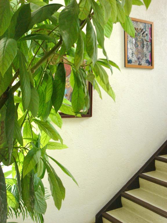 Dakini'S Bed & Breakfast Цюрих Экстерьер фото